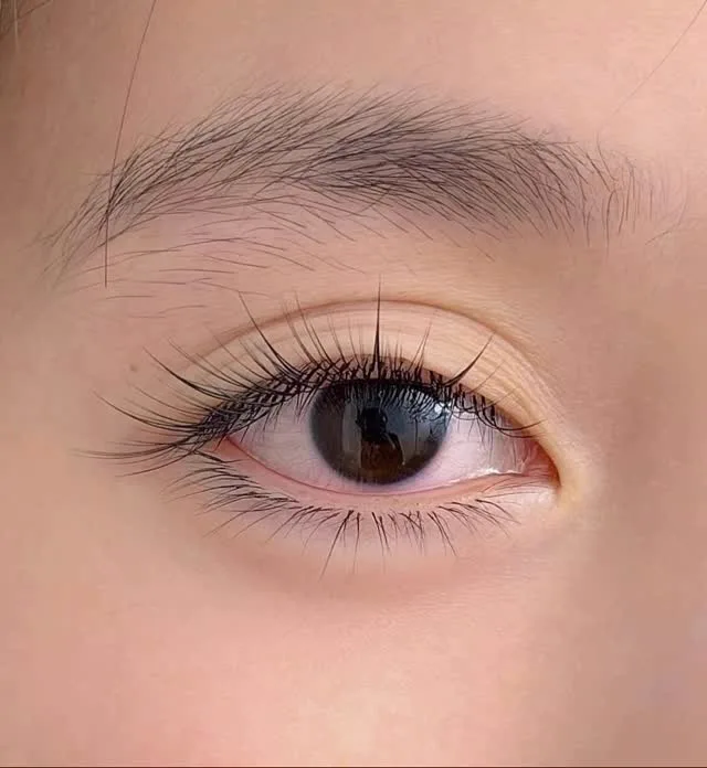 美睫作品